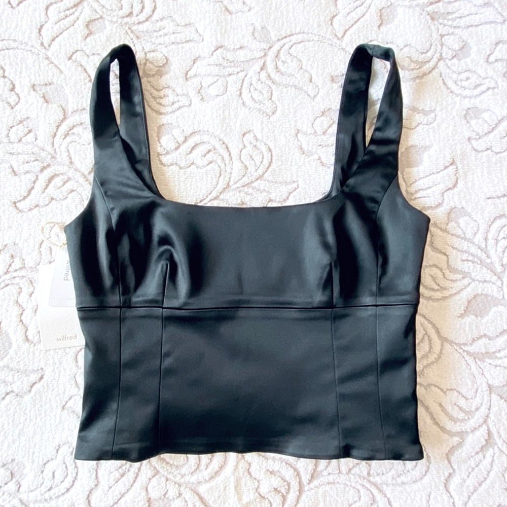 ARITZIA WILFRED Shine Bustier 1st Edition